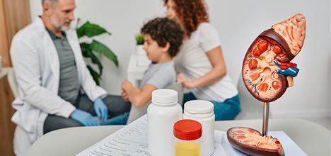 A doctor consults with a child and parent in a medical office, with a kidney model and medication bottles on the table.