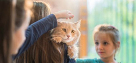 Los gatos y los niños con asma -