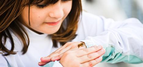 Haga clic aquí para insertar una imagen de SharePoint.