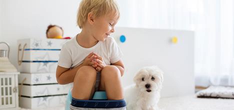 How to Potty Train Your Puppy — The Puppy Academy