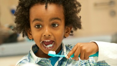 Arte Palacio de los niños Vacante Dentición e higiene dental de los niños pequeños - HealthyChildren.org