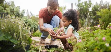 A woman and a child are planting in a garden, surrounded by greenery and flowers, engaging in a nurturing activity together.