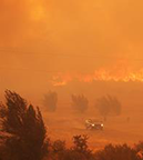 Wildfire Smoke